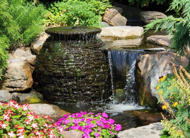 Copy of Landscaping Softscaping 2
