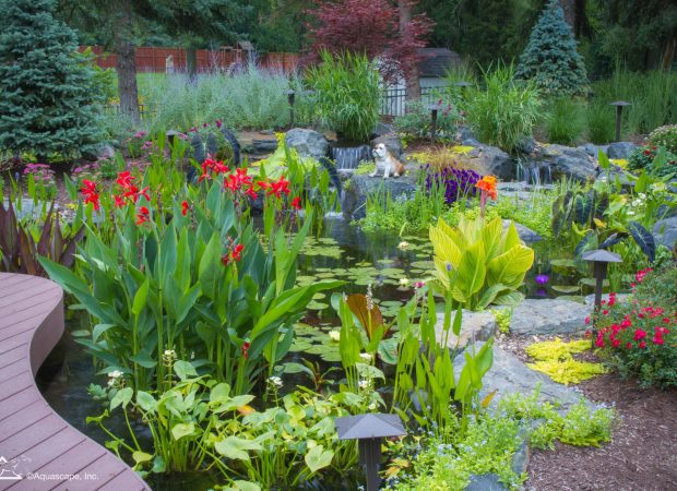 Copy of Landscaping Softscaping 3